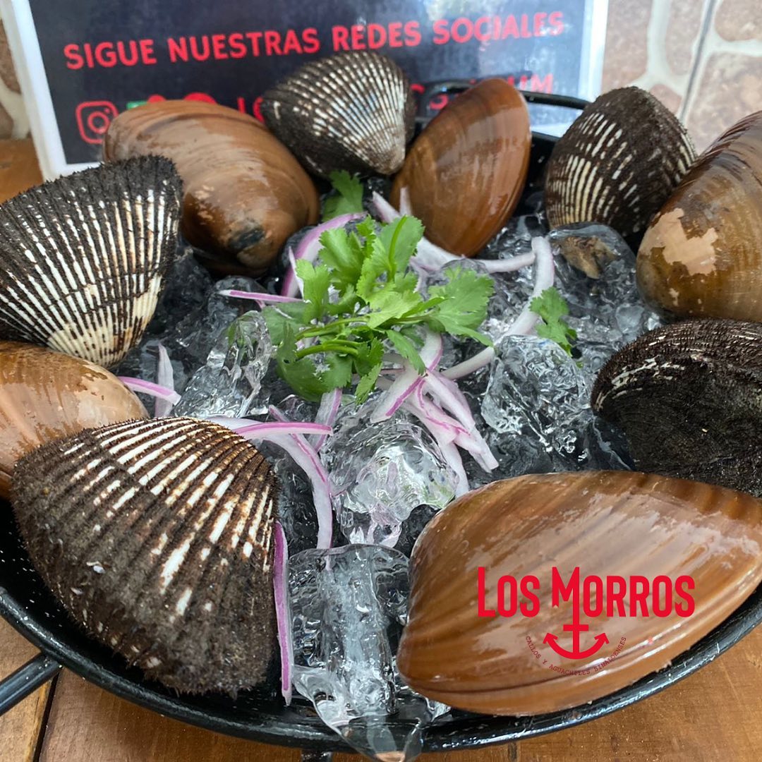 Los Morros Food Image (10)