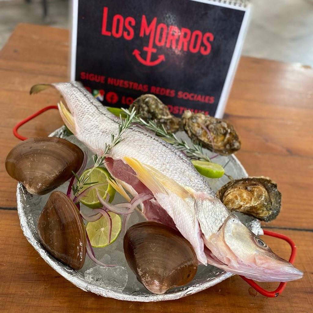 Los Morros Food Image (23)