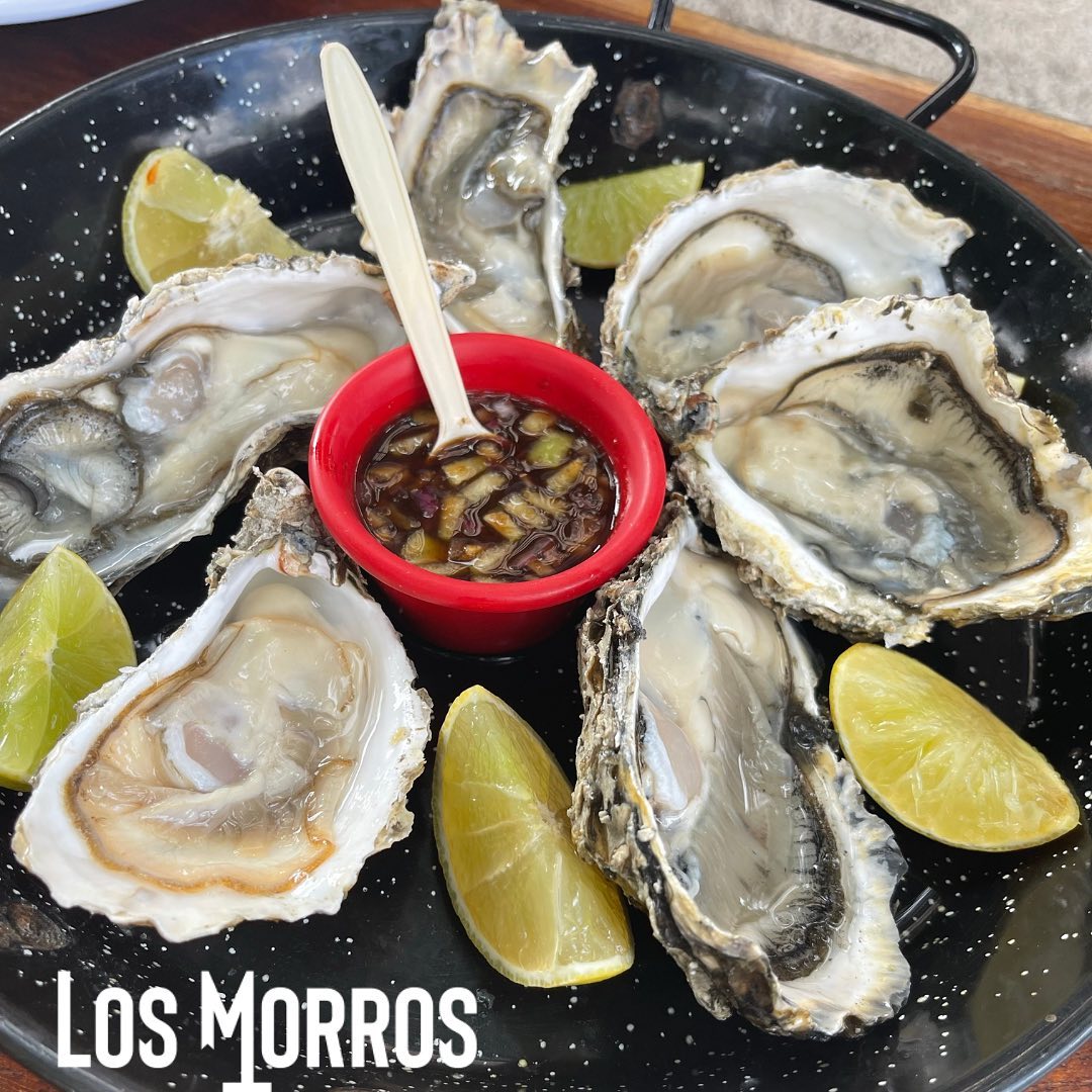 Los Morros Food Image (9)